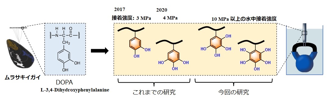 超強力な水中接着剤を開発 - 化学業界の話題